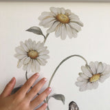 Bundle + Save on 6 Decals