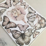 Butterflies A4 Decal