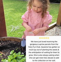 Fairy Fun Club Subscription