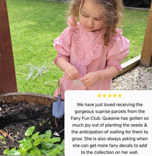 The Fairy Fun Club Monthly Subscription
