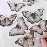 Butterflies A4 Decal