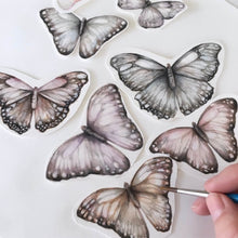 painted details of butterflies. Art to wall decal